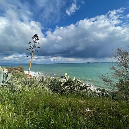 La Casina A Piombino Apartment Ngoại thất bức ảnh